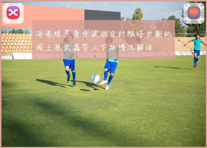 海港球员身价波动分析维塔尔蒯纪闻上涨武磊等人下跌情况解读