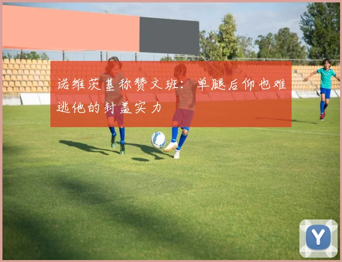 诺维茨基称赞文班：单腿后仰也难逃他的封盖实力