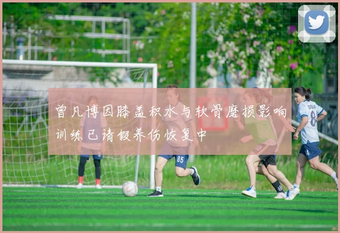 曾凡博因膝盖积水与软骨磨损影响训练已请假养伤恢复中